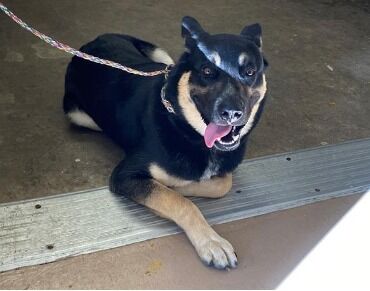 PATTON—ID#A017046